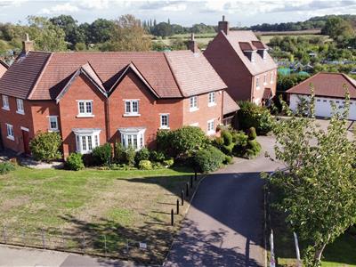 Picture 25